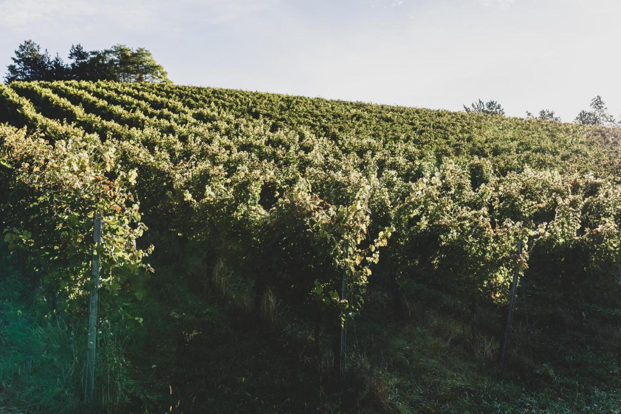 Weingut Peter Grill Bed & Breakfast Leutschach Bagian luar foto
