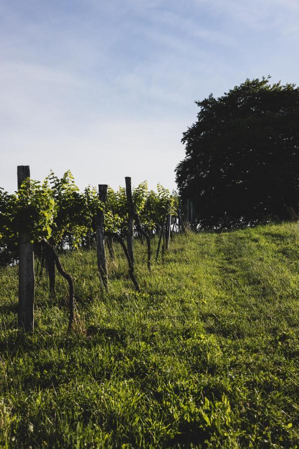 Weingut Peter Grill Bed & Breakfast Leutschach Bagian luar foto